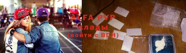 СК Алзамай