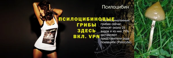 СК Алзамай