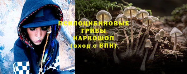 твердый Алексеевка
