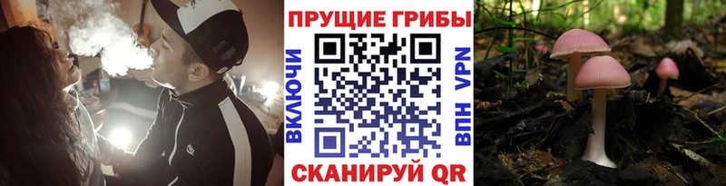 Галлюциногенные грибы ЛСД  Артём 